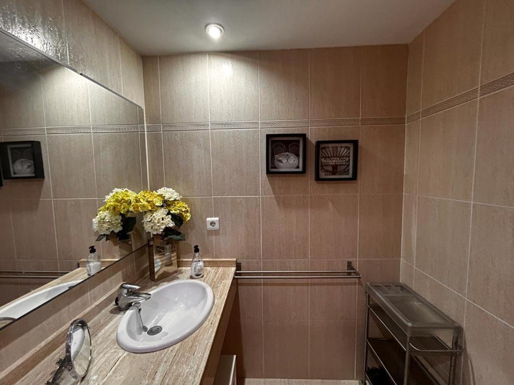 Apartamento Los Girasoles 1 サロウ エクステリア 写真
